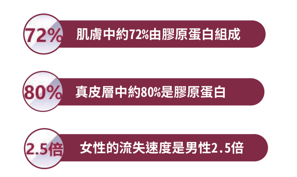 膠原蛋白熊貓針原理作用生成