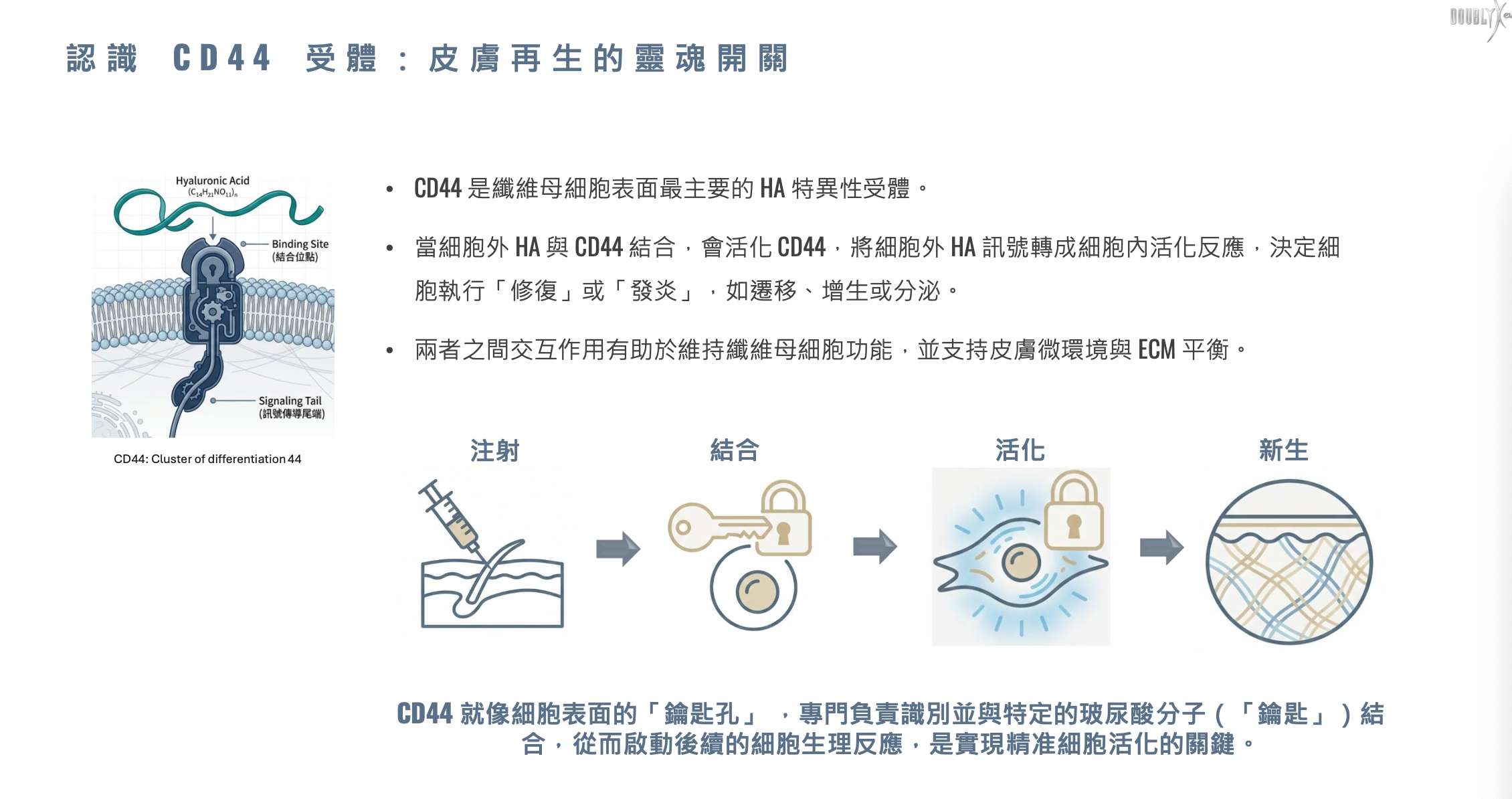 專業注射技術說明